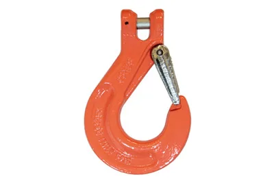 Clevis Hook with Latch 5.3t