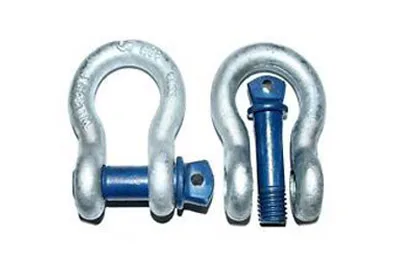17t SCREW PIN BOW SHACKLE